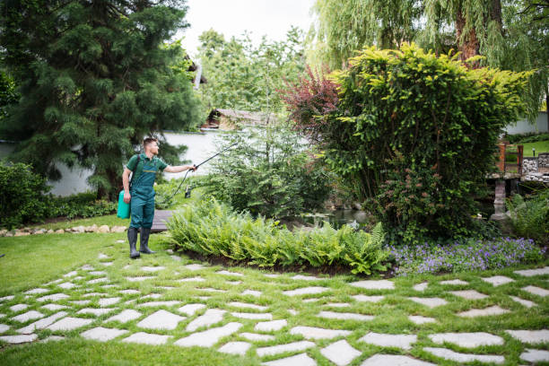 Best Lawn Watering Services  in Brooklawn, NJ